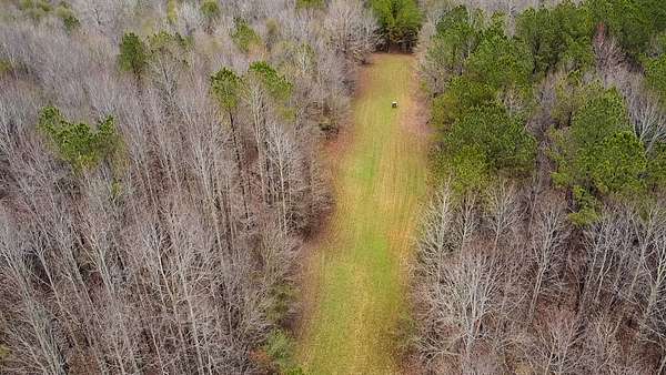 243 Acres of Recreational Land for Sale in Nauvoo, Alabama