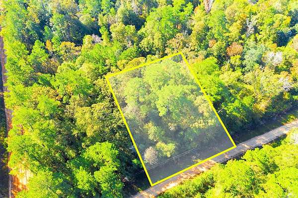 0.29 Acres of Residential Land for Sale in Livingston, Texas