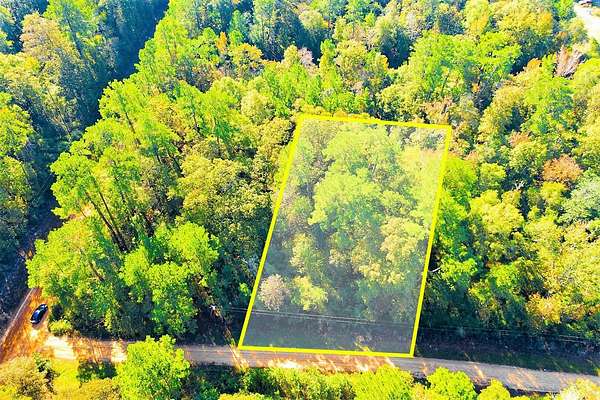0.29 Acres of Residential Land for Sale in Livingston, Texas