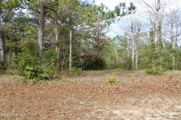 0.56 Acres of Residential Land for Sale in Hampstead, North Carolina