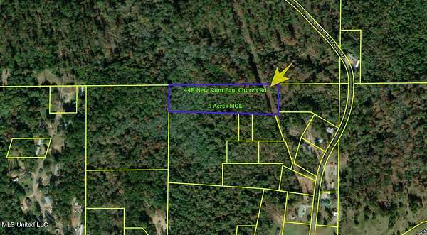 5 Acres of Residential Land for Sale in Waynesboro, Mississippi