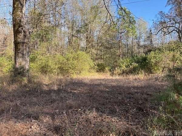 20 Acres of Land for Sale in Hope, Arkansas