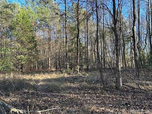20 Acres of Land for Sale in Hope, Arkansas