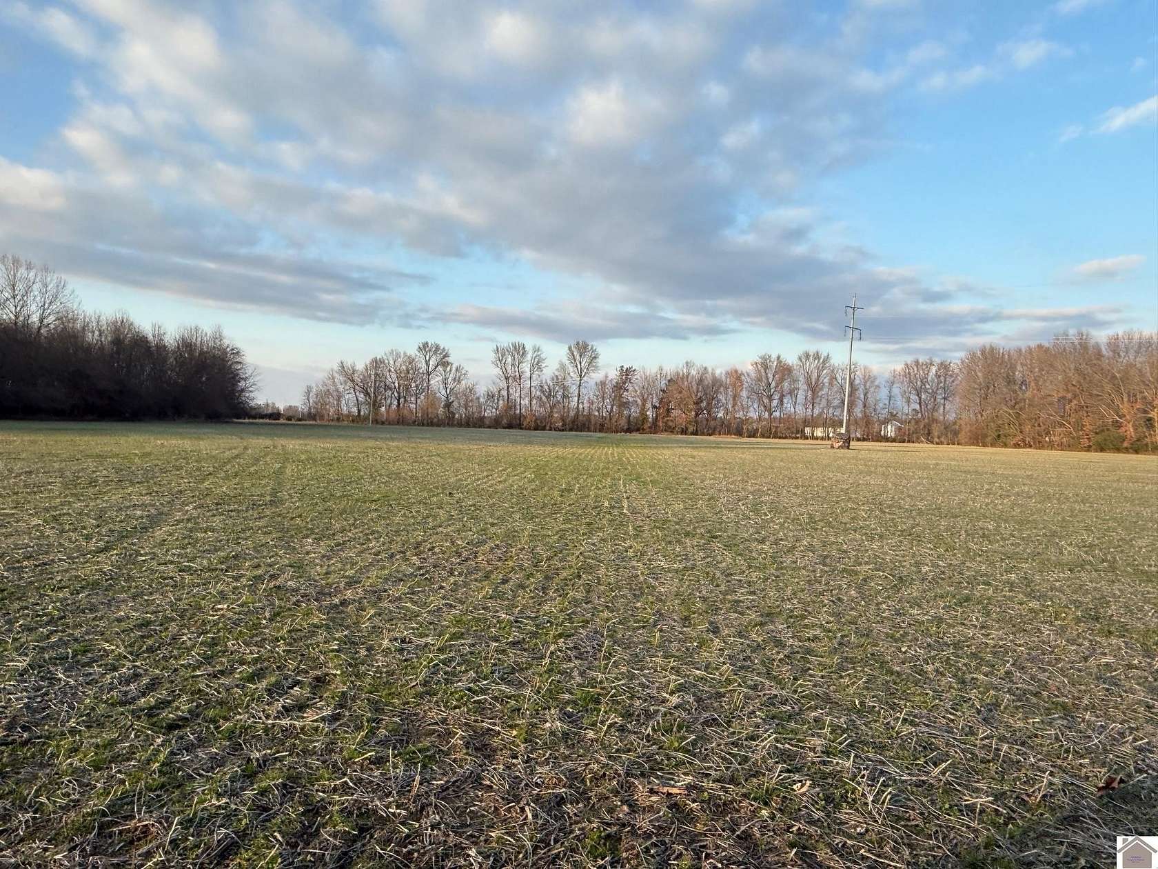 24 Acres of Agricultural Land for Sale in Mayfield, Kentucky