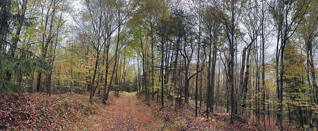 82.1 Acres of Recreational & Residential Land for Sale in Sanford, New York