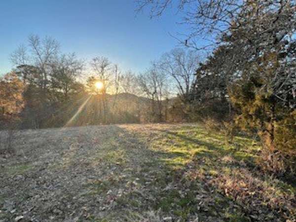 17 Acres of Recreational Land for Sale in Oden, Arkansas