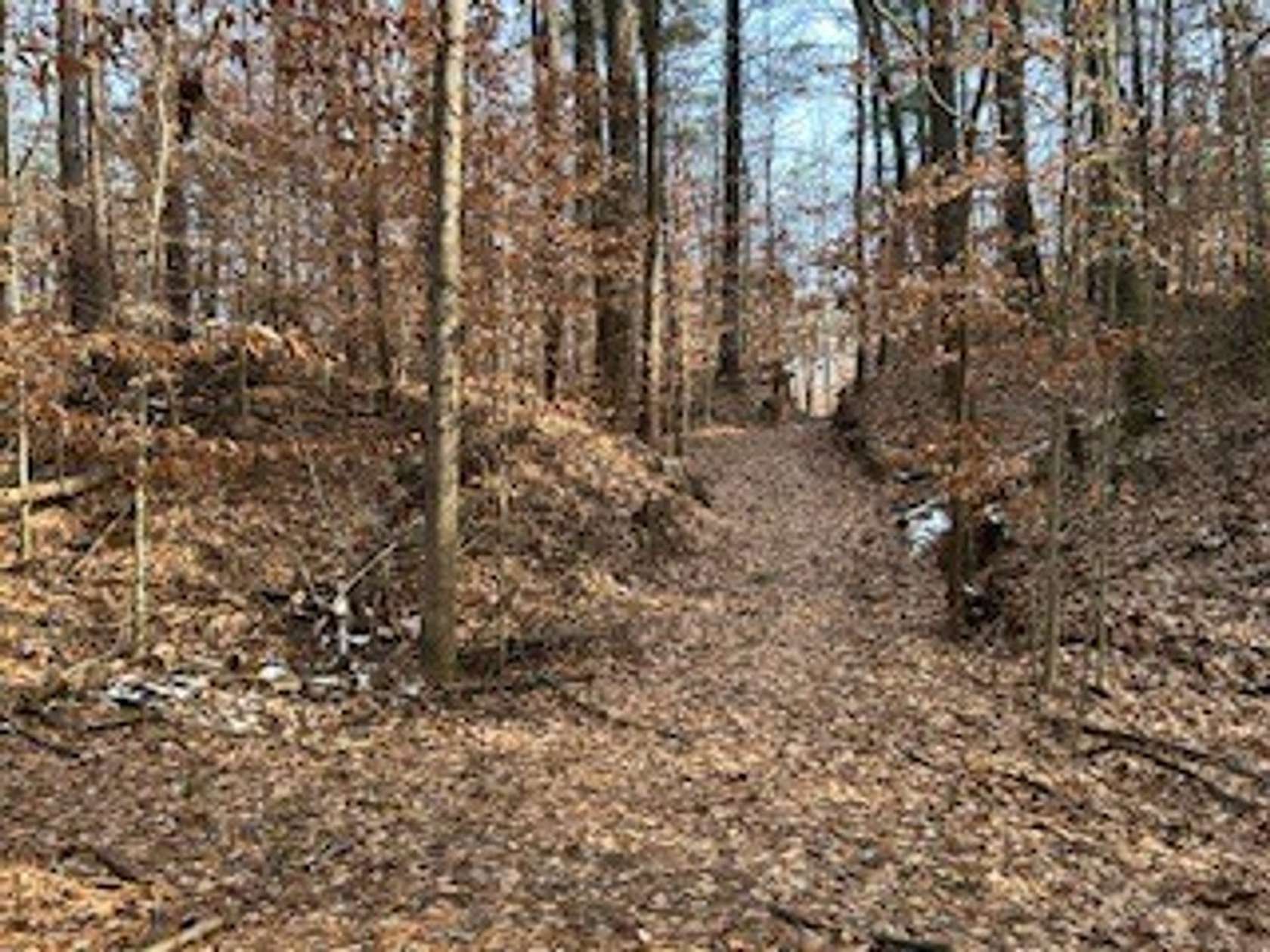 11 Acres of Recreational Land for Sale in Spencer, Indiana