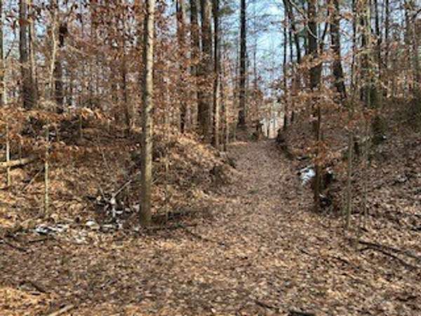 11 Acres of Recreational Land for Sale in Spencer, Indiana