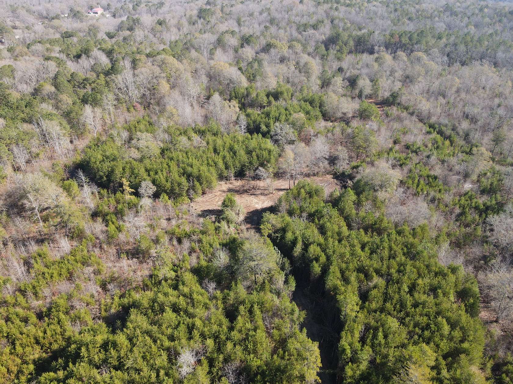 20 Acres of Recreational Land for Sale in Eastaboga, Alabama