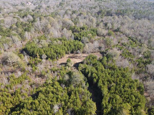 20 Acres of Recreational Land for Sale in Eastaboga, Alabama