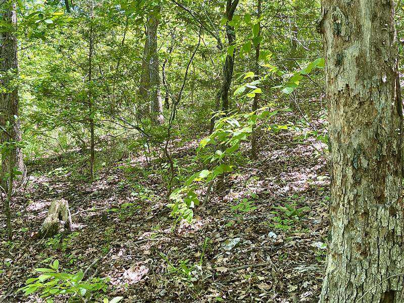 0.29 Acres of Residential Land for Sale in Holiday Island, Arkansas