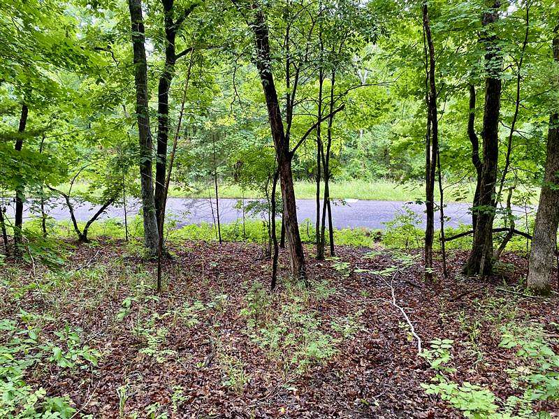 0.29 Acres of Residential Land for Sale in Holiday Island, Arkansas