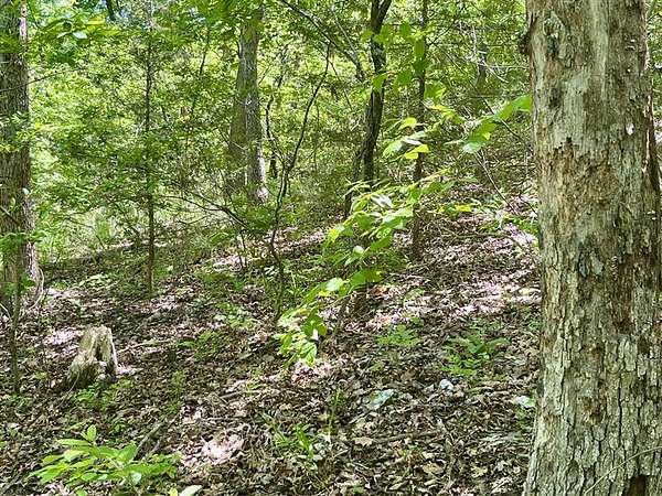 0.29 Acres of Residential Land for Sale in Holiday Island, Arkansas