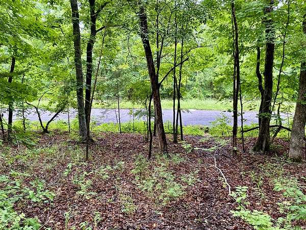 0.29 Acres of Residential Land for Sale in Holiday Island, Arkansas
