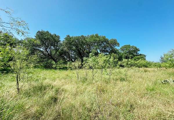 36 Acres of Agricultural Land for Sale in Brownwood, Texas