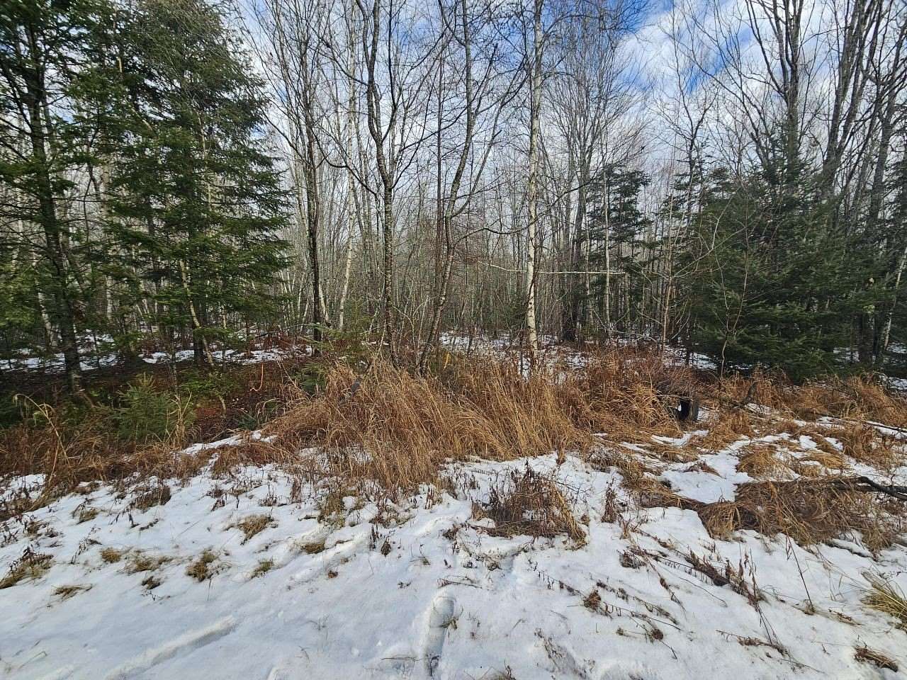 20 Acres of Recreational & Residential Land for Sale in Columbia, Maine