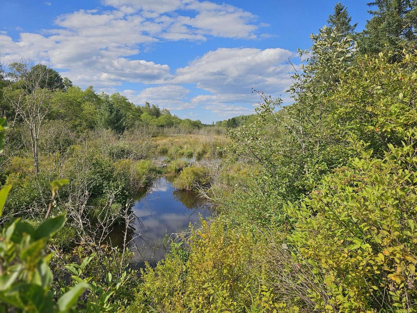 20 Acres of Recreational & Residential Land for Sale in Columbia, Maine