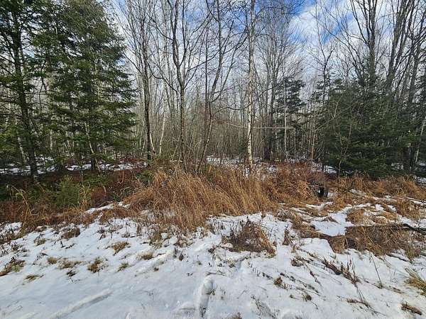 20 Acres of Recreational & Residential Land for Sale in Columbia, Maine