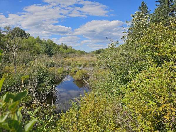 20 Acres of Recreational & Residential Land for Sale in Columbia, Maine