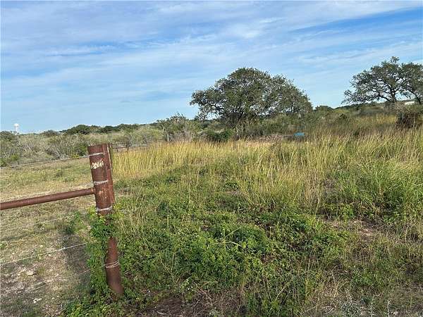 17.2 Acres of Mixed-Use Land for Sale in Beeville, Texas