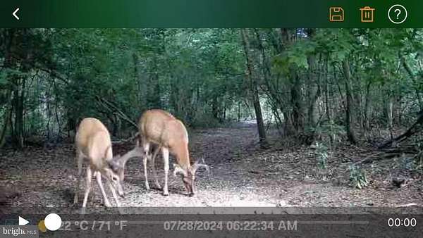 208 Acres of Recreational & Residential Land for Sale in Salem, New Jersey