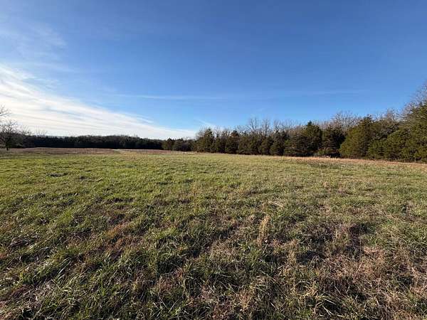 65.2 Acres of Land for Sale in Taneyville, Missouri