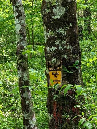 10 Acres of Land for Sale in Epworth, Georgia