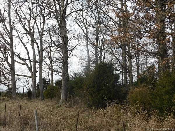 40 Acres of Land for Sale in Salem, Indiana