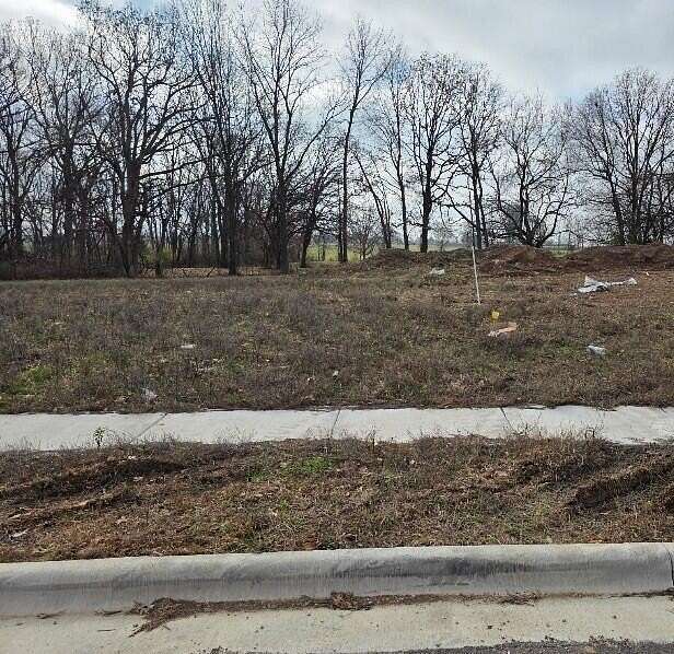 0.34 Acres of Residential Land for Sale in Nixa, Missouri