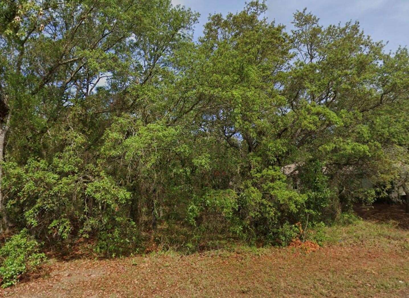 0.26 Acres of Residential Land for Sale in Homosassa, Florida
