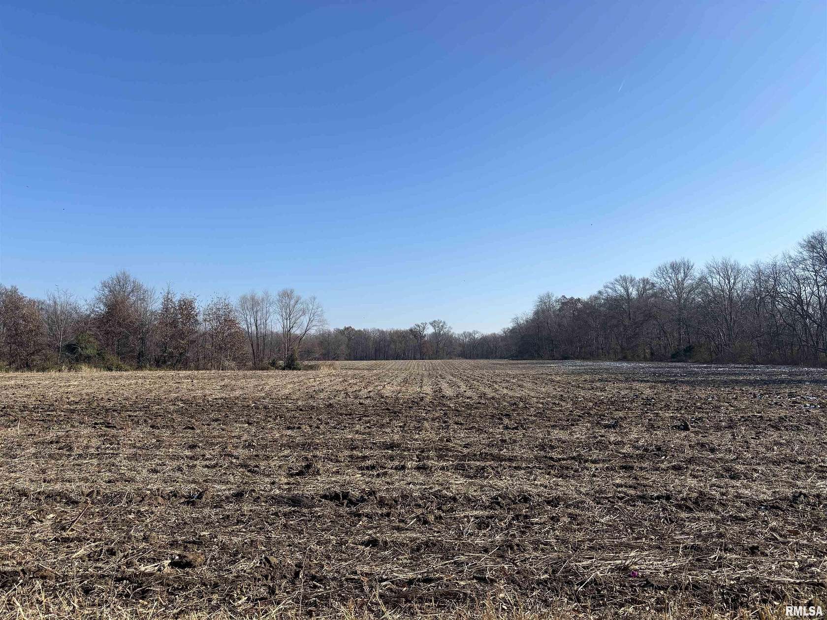 41.7 Acres of Recreational Land & Farm for Sale in Mount Vernon, Illinois