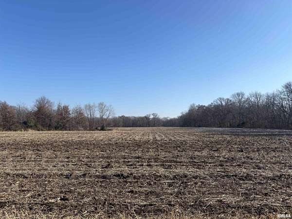 41.7 Acres of Recreational Land & Farm for Sale in Mount Vernon, Illinois