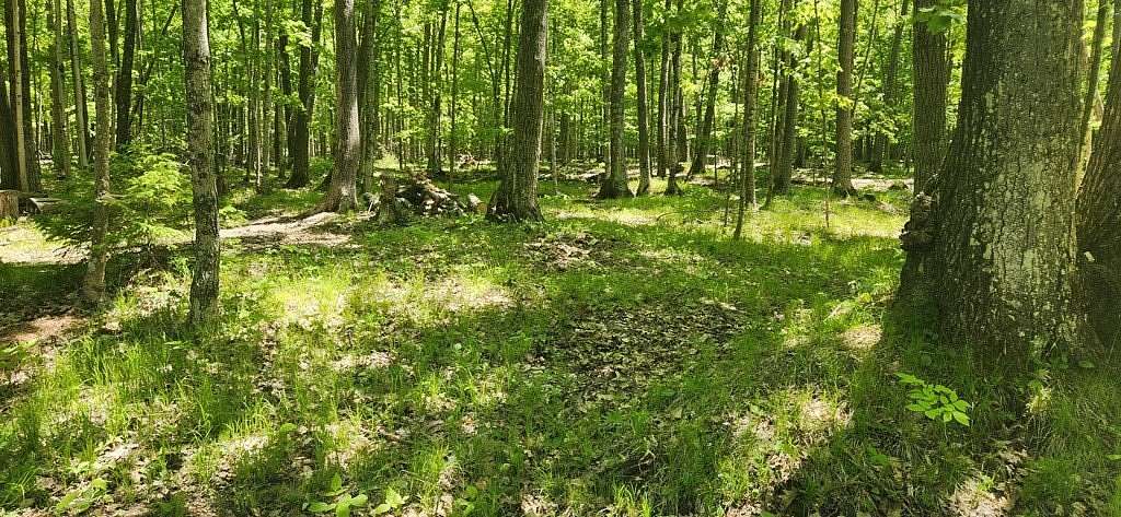 1.5 Acres of Residential Land for Sale in Baileys Harbor, Wisconsin