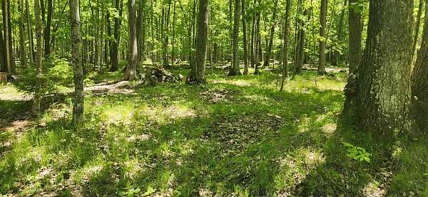 1.5 Acres of Residential Land for Sale in Baileys Harbor, Wisconsin
