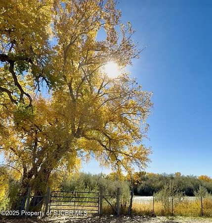 48.5 Acres of Agricultural Land for Sale in Blanco, New Mexico