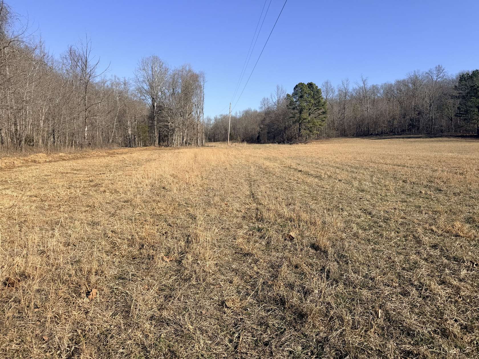 5 Acres of Residential Land for Sale in Erin, Tennessee