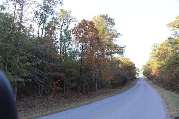 46.8 Acres of Land for Sale in Marbury, Alabama