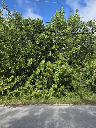 0.34 Acres of Land for Sale in Sugarloaf Key, Florida
