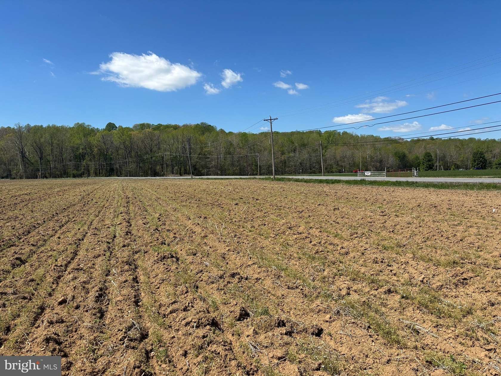 31.3 Acres of Recreational & Residential Land for Sale in Chaptico, Maryland
