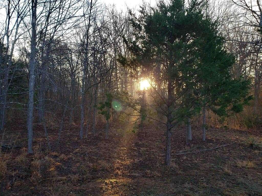 10 Acres of Land for Sale in Lindale, Texas