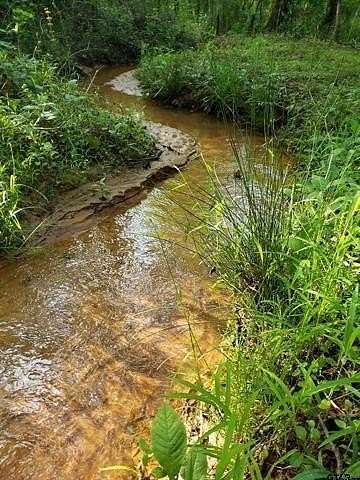 10 Acres of Land for Sale in Lindale, Texas