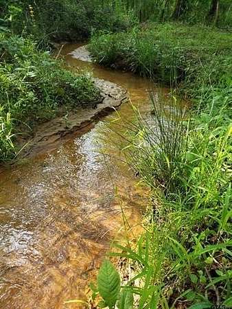 10 Acres of Land for Sale in Lindale, Texas