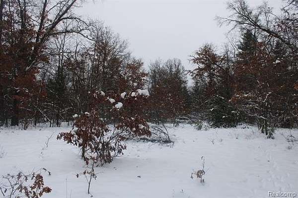 10 Acres of Recreational Land for Sale in Alger, Michigan