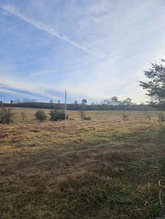 54.5 Acres of Land for Sale in Umpire, Arkansas