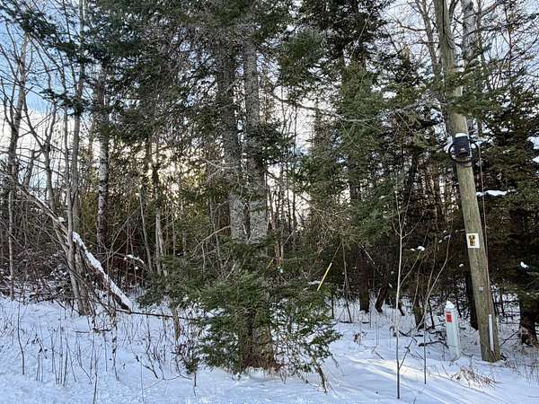 0.27 Acres of Residential Land for Sale in Cheboygan, Michigan