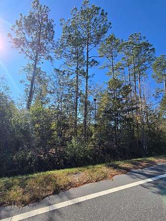 0.5 Acres of Residential Land for Sale in Wewahitchka, Florida