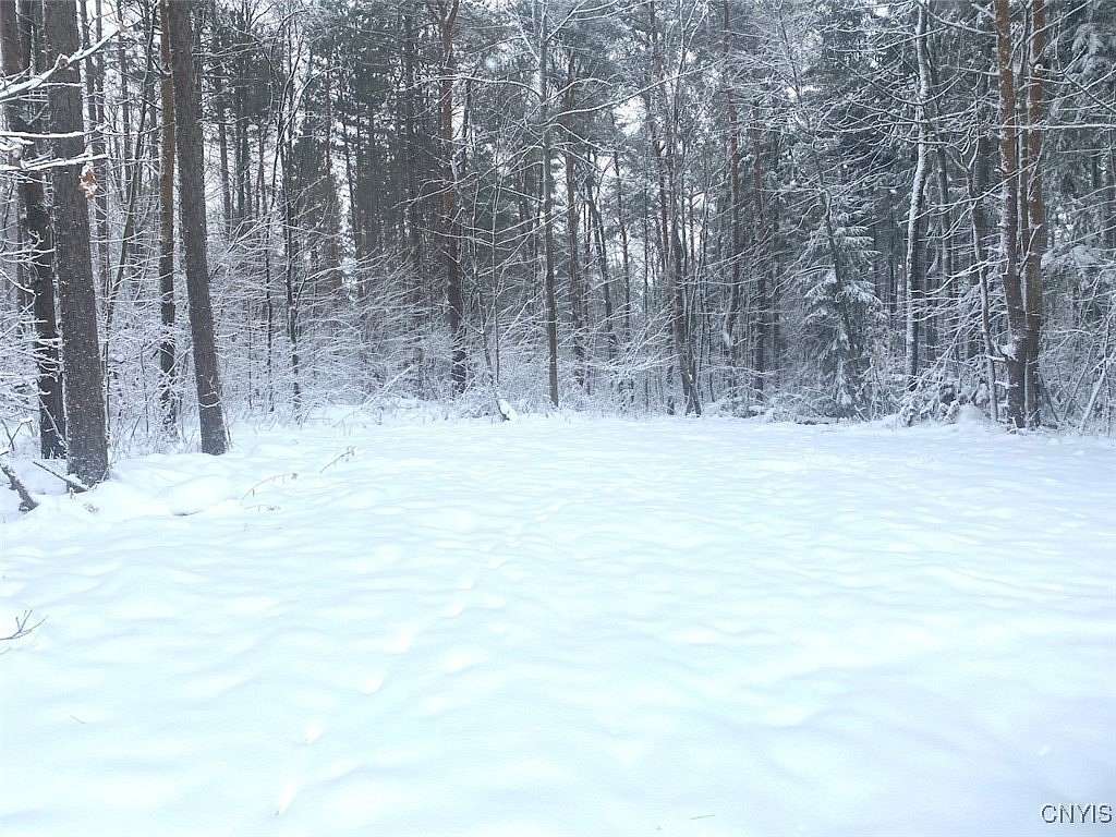 10 Acres of Recreational Land for Sale in Friendship, New York