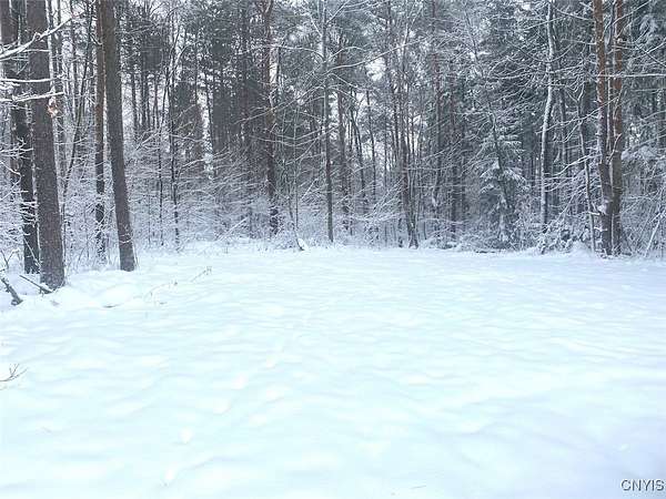 10 Acres of Recreational Land for Sale in Friendship, New York