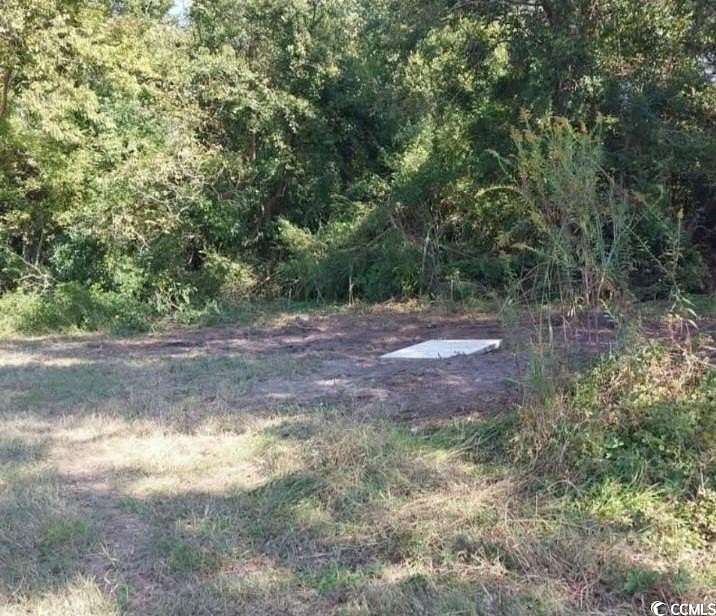 1.25 Acres of Land for Sale in Mullins, South Carolina