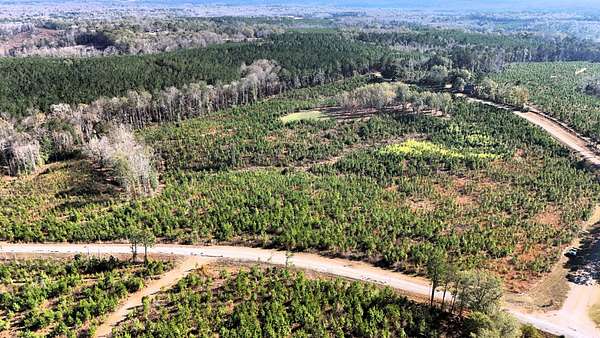 29.2 Acres of Land for Sale in Banks, Alabama